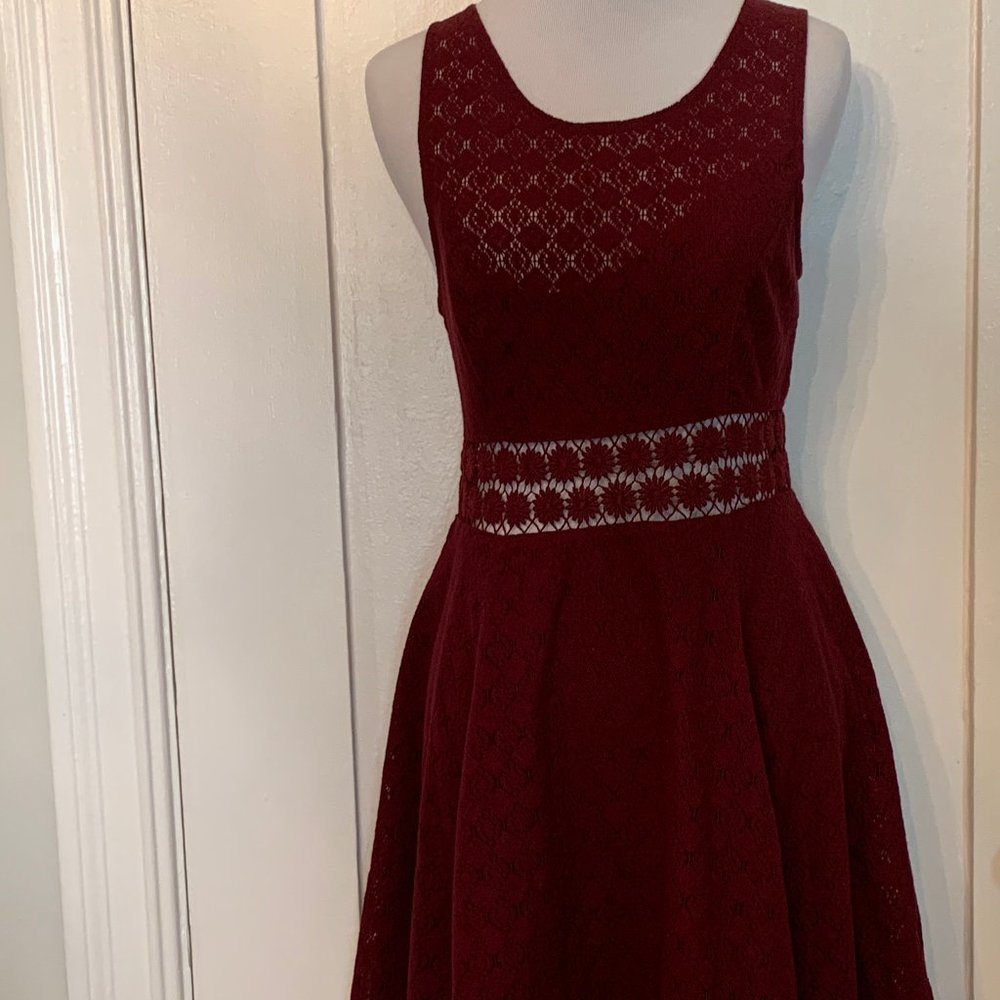 NWOT Free people cranberry plum lace dress